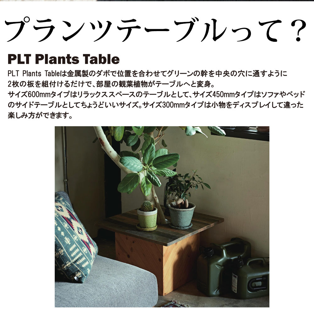 プランターテーブル プランツテーブル 観葉植物 テーブル 観葉植物 スクエア 正方形 チーク材 マンゴー材 60x60cm PLT-S60 植木鉢 プラントテーブル  無垢材 |  | 12