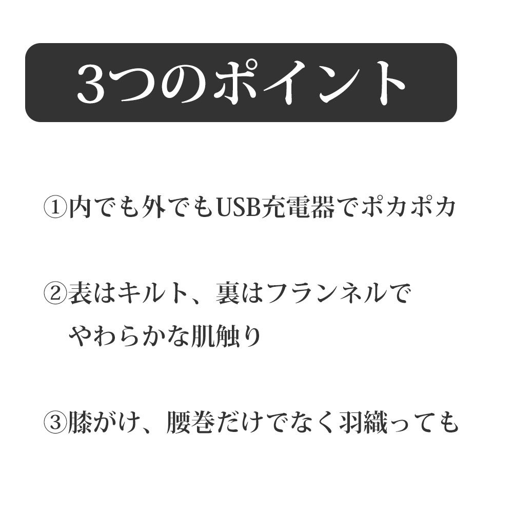【在庫処分セール】電気ブランケット USB モールディング USB キルトブランケット メルクロス BRID ひざ掛け おしゃれ 電気ひざ掛け |  | 03