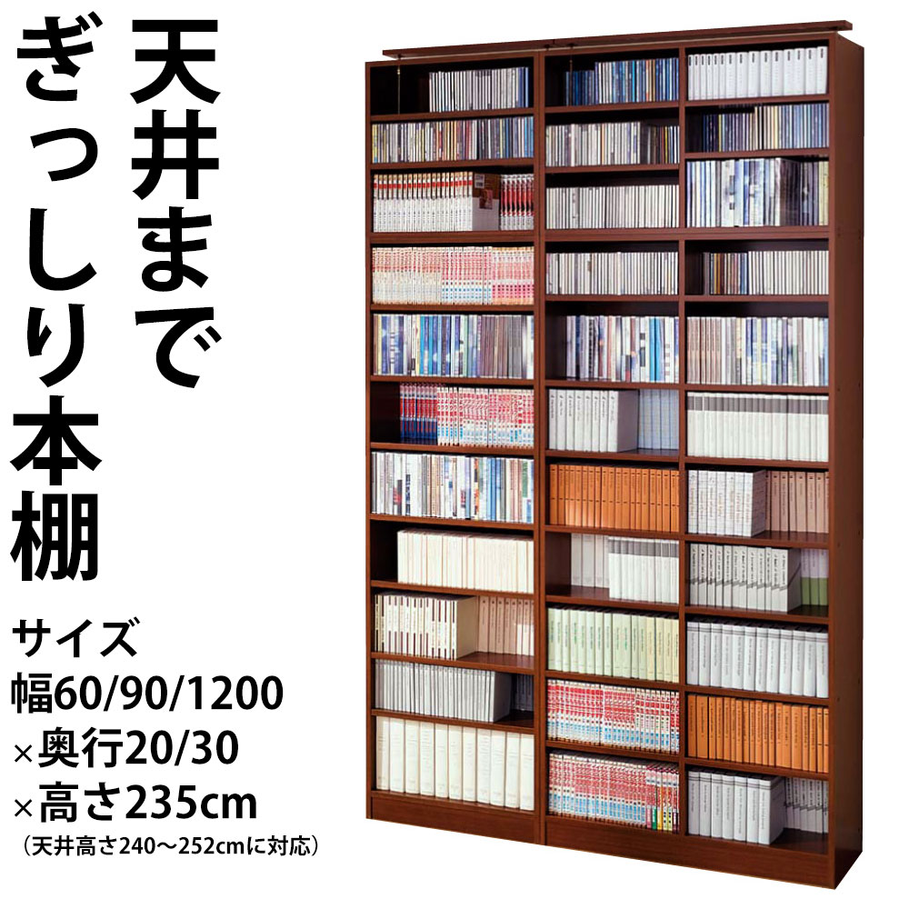 本棚 壁面ラック 扉付タイプ 天井つっぱり 幅60×奥行22×高さ235cm 