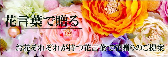 Makflowerworks 花言葉で花贈り フラワーギフト テーマ シーン別の花贈り Yahoo ショッピング