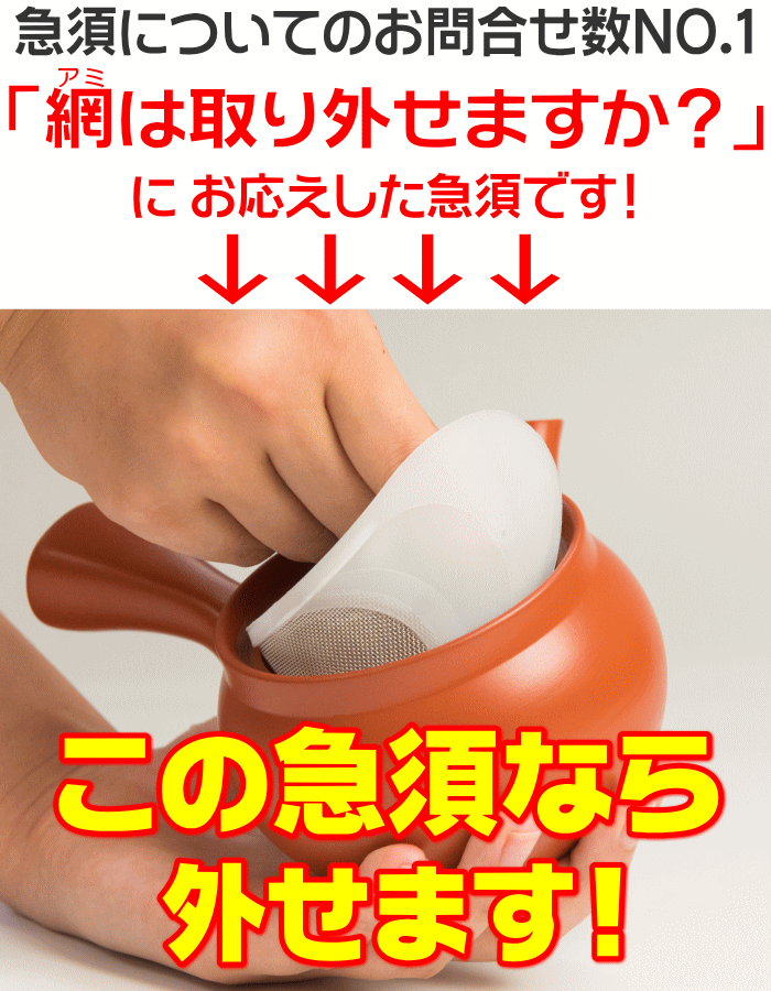 網が外せる キレイに洗える 急須 国産 常滑焼 3名様用 350ml