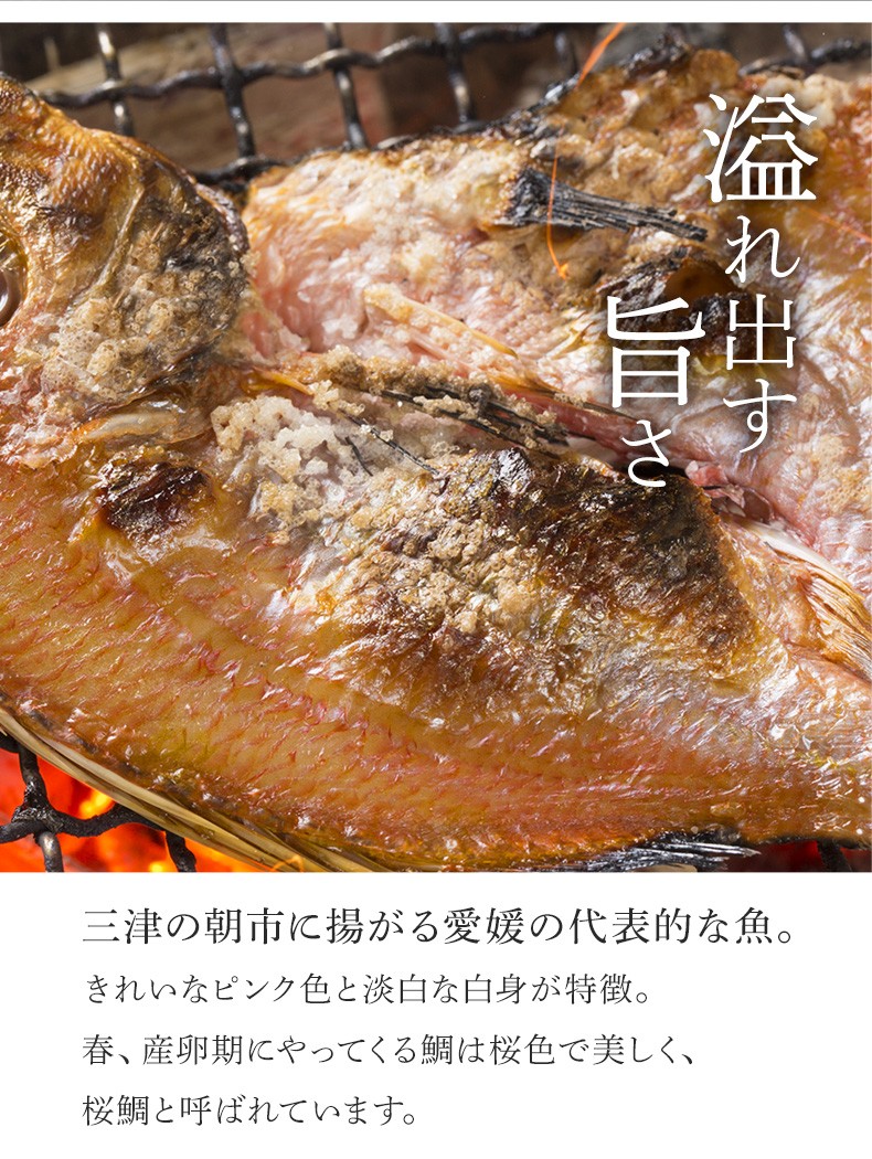 まだい 愛媛県産 真鯛 マダイ 干物 ひもの お中元 お歳暮 マキノ海産 通販 Yahoo ショッピング