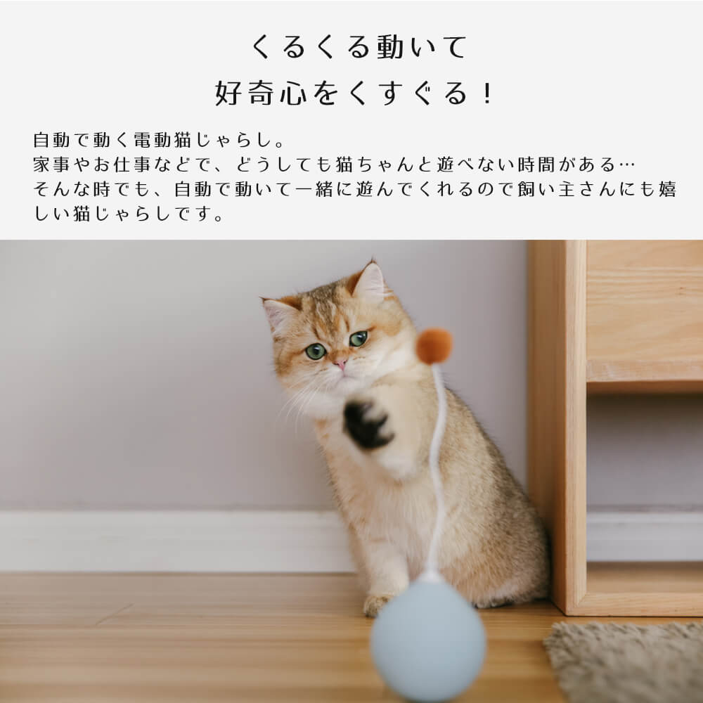 ねこじゃらし 猫用品 電動 猫じゃらし バルーン だるま おきあがり 