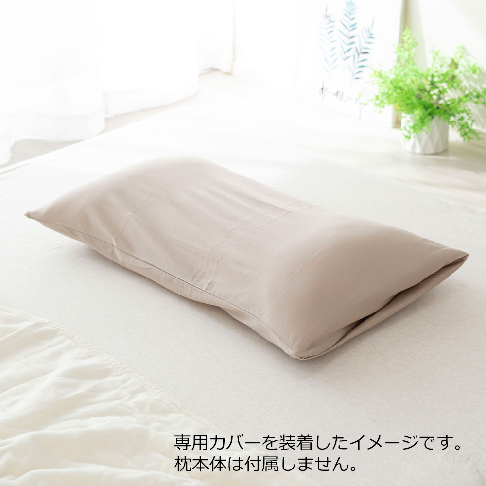 とにかく低い専用カバー