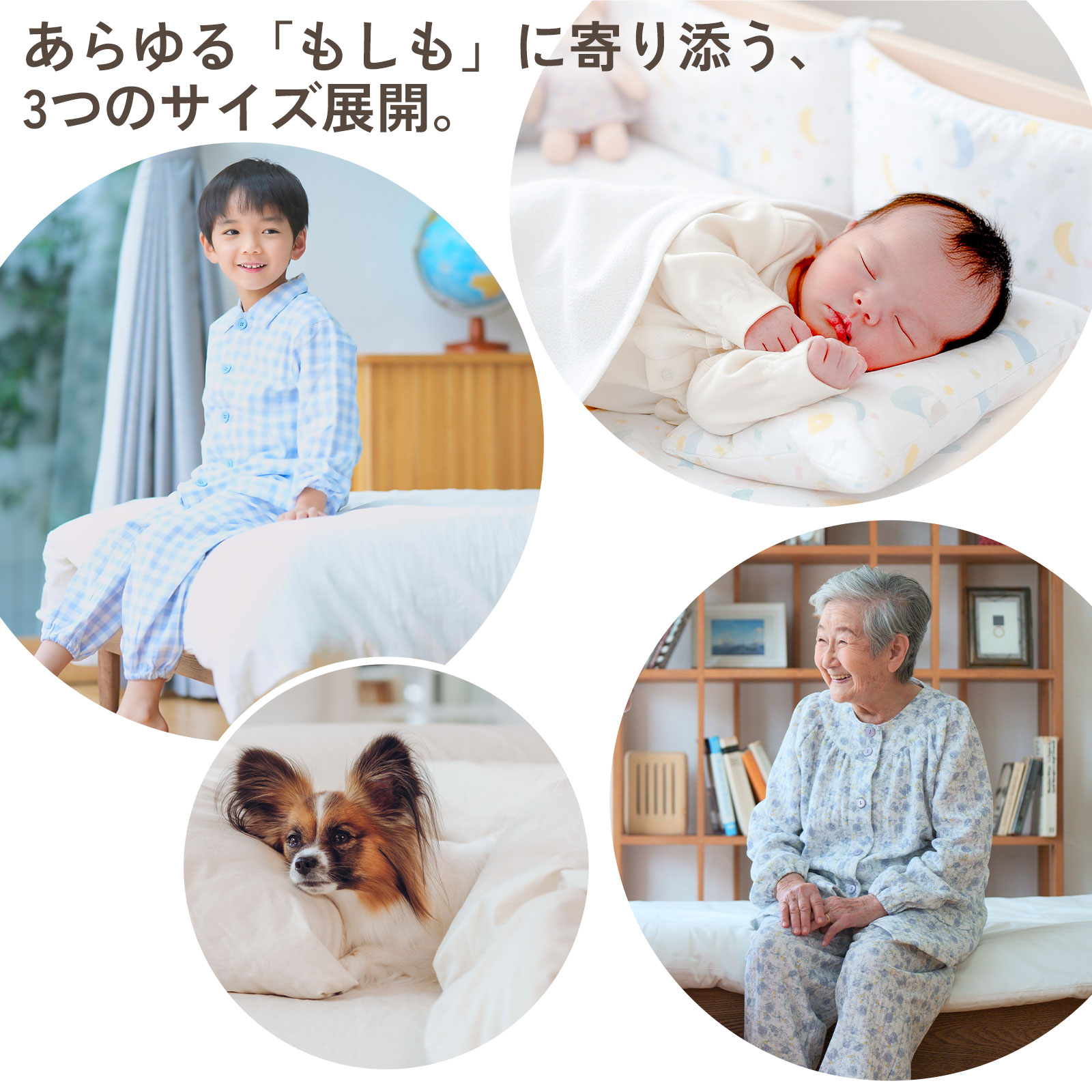 3つのサイズ展開