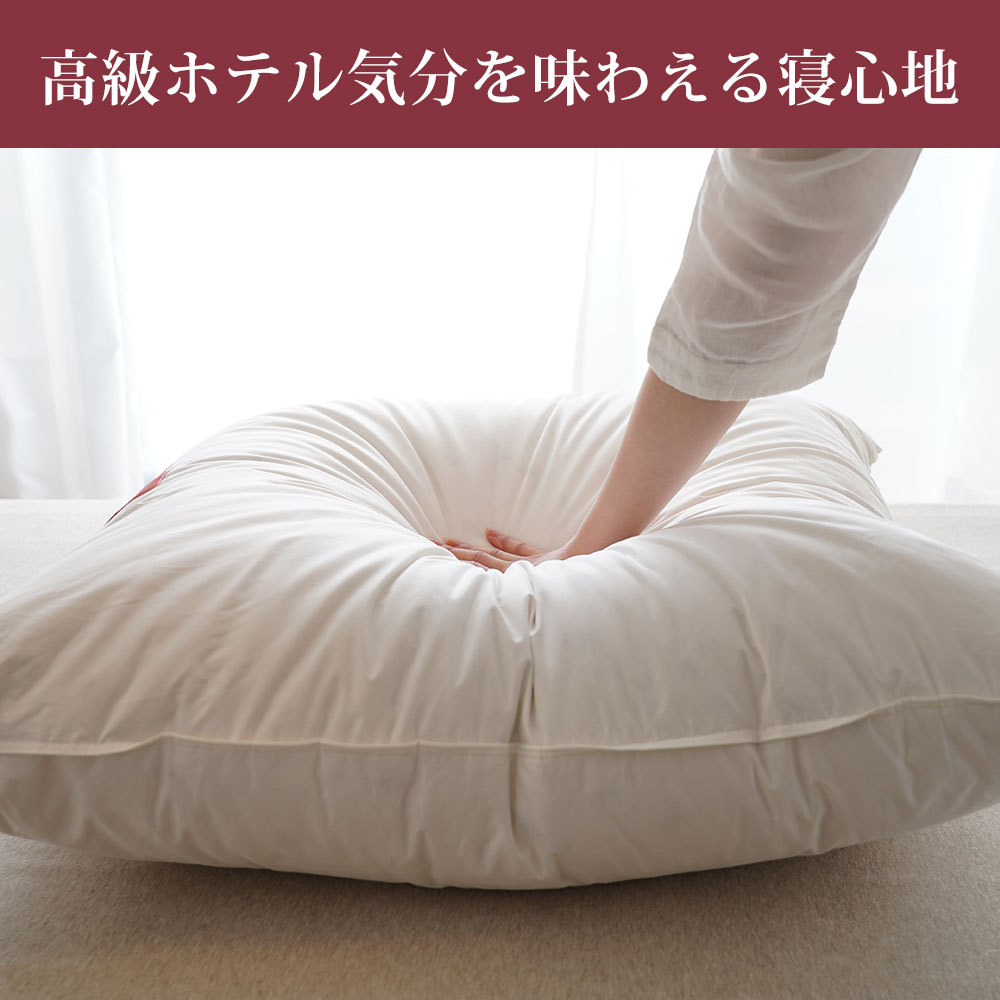 枕 ホテル仕様 肩こり横向き 安眠枕 快眠枕 首が痛い ふかふか おすすめ billerbeck ビラベック ダウンピロー80 80×80cm  クリスマス プレゼント : 224-000025-20 : 枕と眠りのおやすみショップ! - 通販 - Yahoo!ショッピング