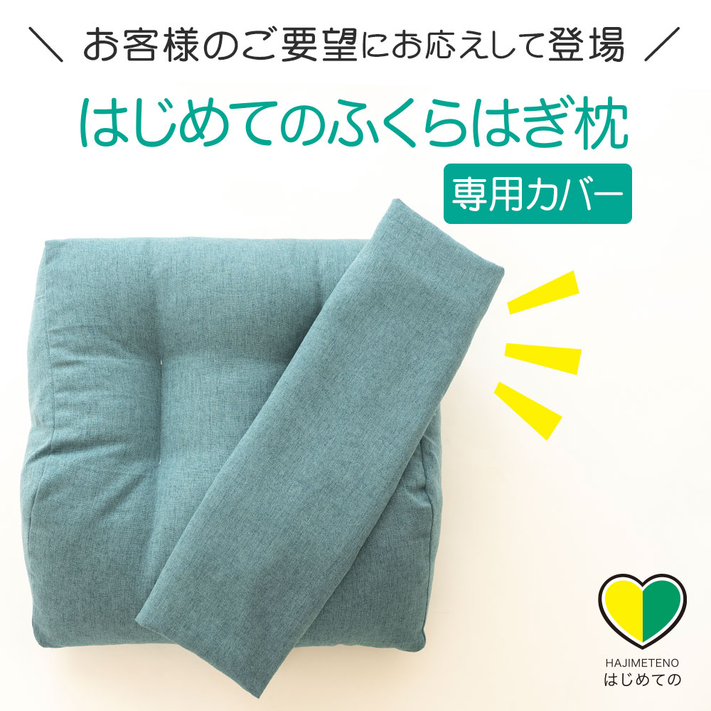 専用カバー