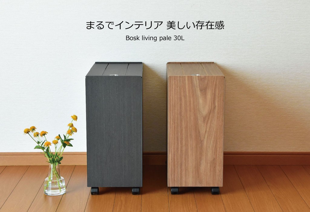 TATSUーCRAFT ゴミ箱 おしゃれ 30リットル キッチン用 分別 大型