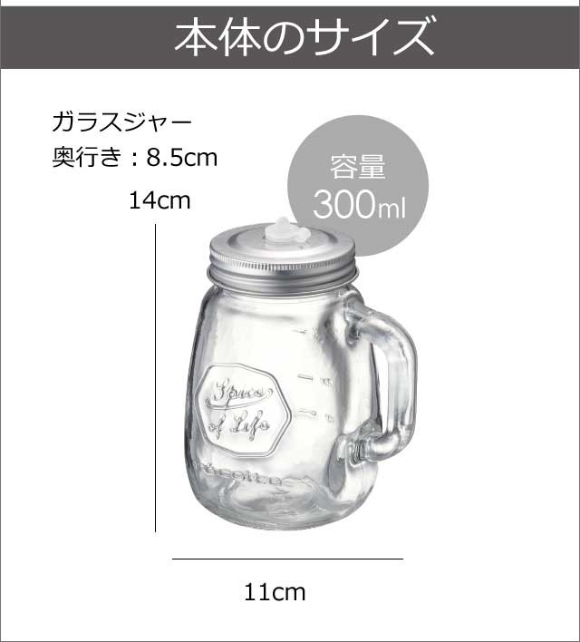 recolte（レコルト） ブレンダー スムージー ミキサー ジューサー 氷