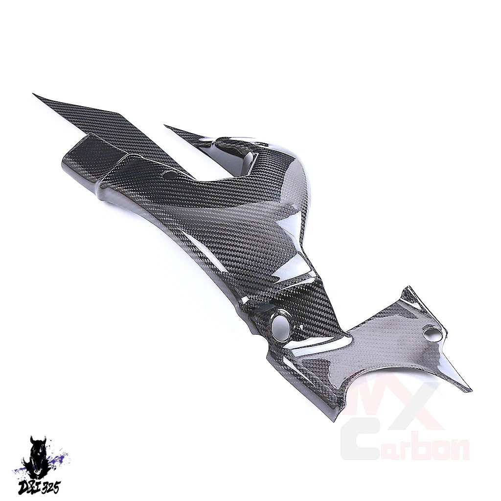 【互換品】 カワサキニンジャH2 H2R 2015-2024用カーボンフェアリングプロテクター - バイクアクセサリーカスタム 社外製_1