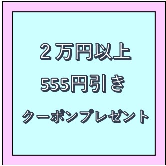 DerizoNetStoreの「20000円以上のクーポン」のクーポン