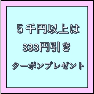 DerizoNetStoreの「5000円以上のクーポン」のクーポン