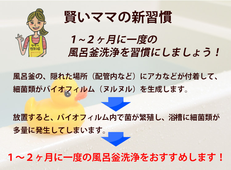 公式サイト 風呂釜 洗浄剤 風呂釜クリヤ １袋 お風呂 の 湯ドロ 配管 除菌 洗浄 送料無料 discoversvg.com