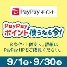 PayPayポイント使っておトク