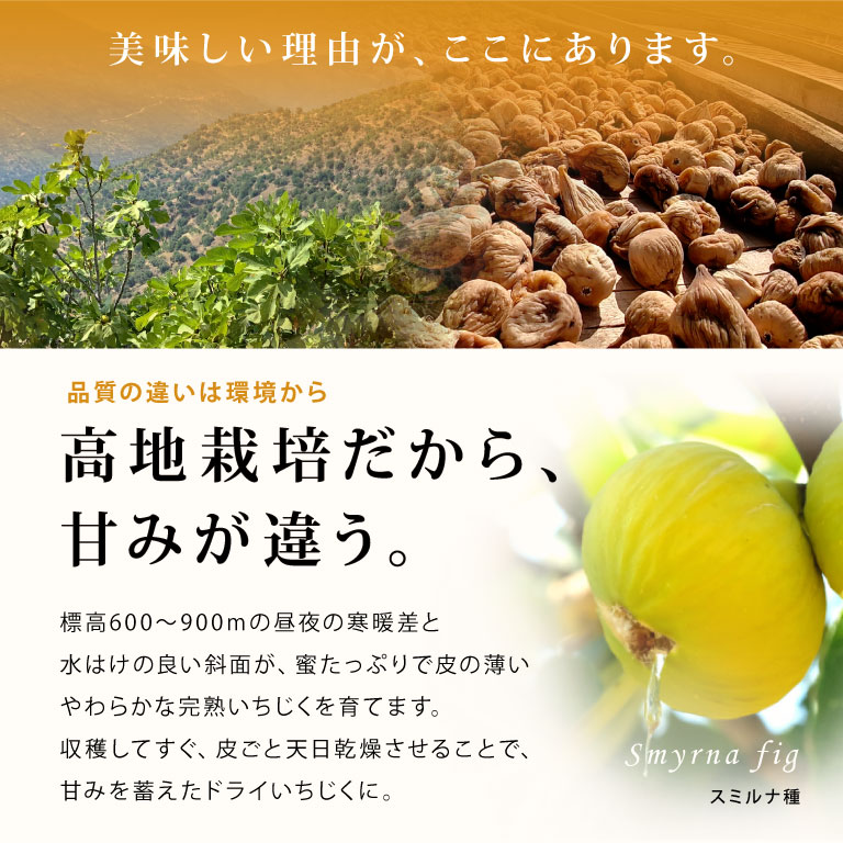 送料込み ママパン 有機ドライいちじく(白フィ...の詳細画像5