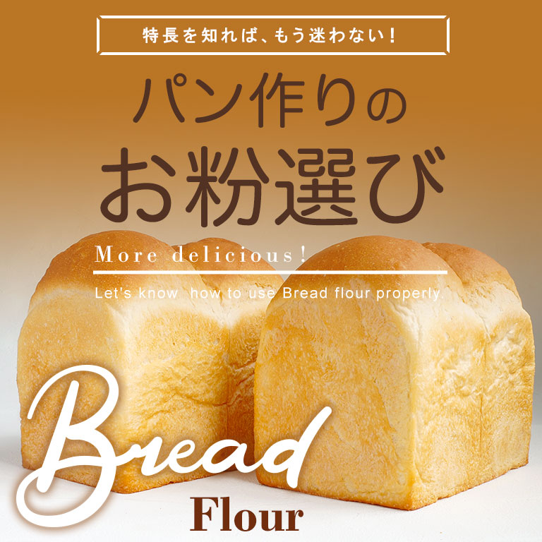 ブランドのギフト ソントン ショコラシート 600g チョコシート パン用シート フィリング マーブルパン 食パン 菓子パン パン材料 製パン 