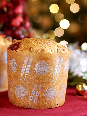 レシピ ブリオッシュミックスを使ったかんたんパネトーネ ママパン ママの手作りパン屋さん 通販 Yahoo ショッピング