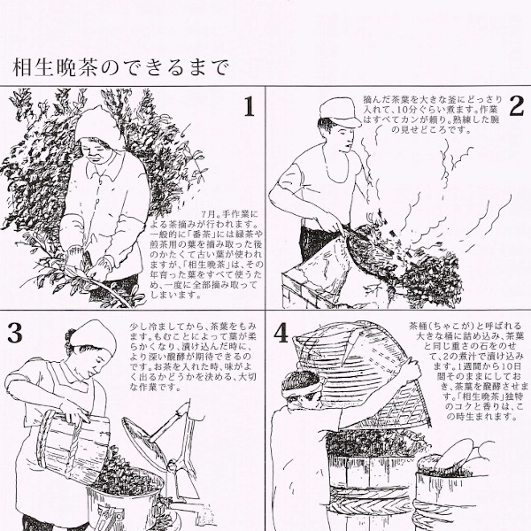 徳島県相生地方名産「相生晩茶」（200g）産地直送にてお届け