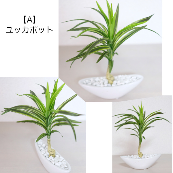 在庫一掃セール開催中！32％OFF 1,760円→1,200円 インテリアグリーン１（人工観葉植物）全３種（ユッカ・パキラ・スリムユッカ）