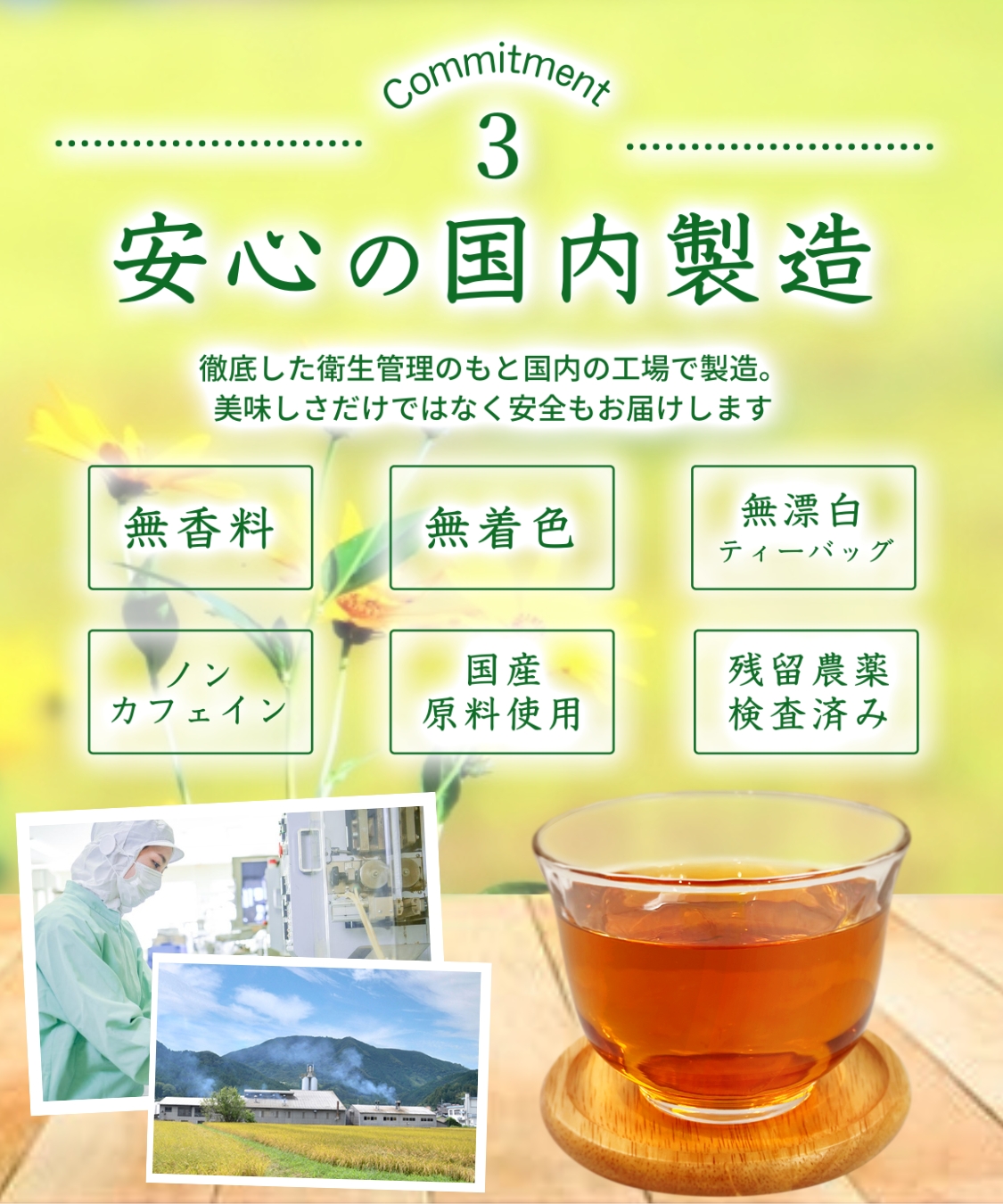 菊芋茶 国産 2.5g×30包 (お得な2袋セット) ティーバッグ ノンカフェイン キクイモ きくいもちゃ お茶 健康茶 ママセレクト 送料無料  :kikuimo-2:ママセレクト - 通販 - Yahoo!ショッピング