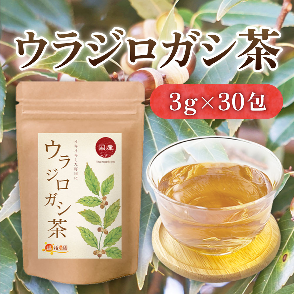 【公式】温活農園 ウラジロガシ茶 国産 3g×30包 ノンカフェイン