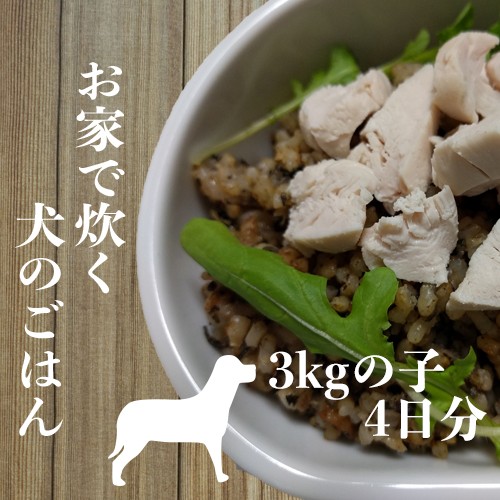 炊飯器で炊く犬のごはん