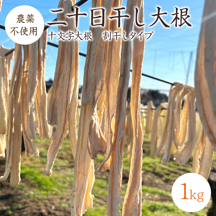 宅急便】二十日干し大根 割干し大根 【100g】 群馬県産 十文字大根
