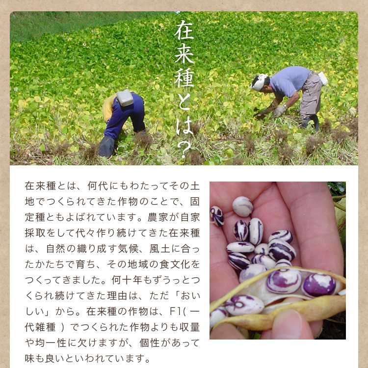 宅配便】無農薬 手亡豆 「1kg」北海道産 令和5年産 農薬化学肥料不使用 白いんげん 小粒 : 100000039 : 築地 豆雑穀問屋 三栄商会  - 通販 - Yahoo!ショッピング