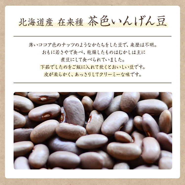 北海道産 茶色いんげん豆 在来種 無農薬栽培 希少いんげん豆 農薬化学肥料不使用 国産 いんげん豆 豆類、もやし 