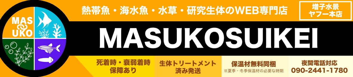 MASUKOSUIKEI ヘッダー画像