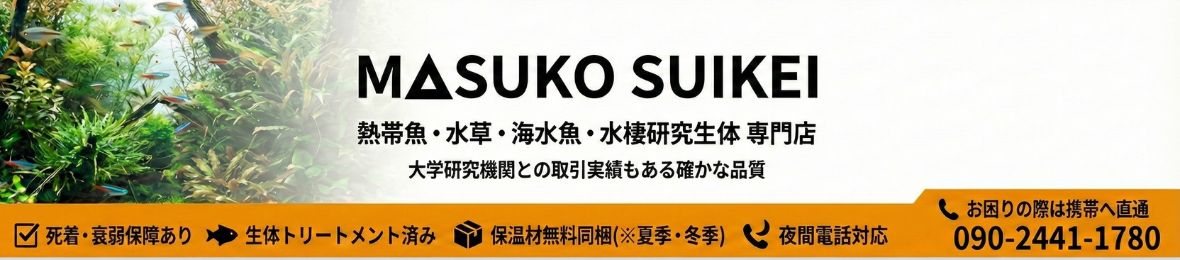 MASUKOSUIKEI ヘッダー画像