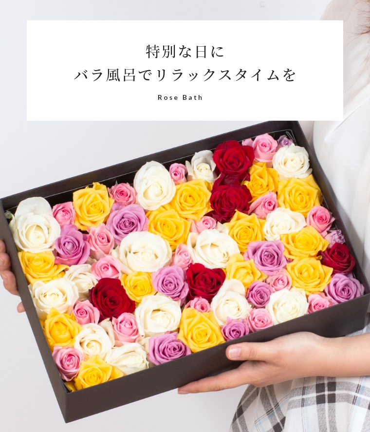 マニーローズお皿と薔薇の収納ボックスセット マニーローズお皿と薔薇の収納ボックスセット激安