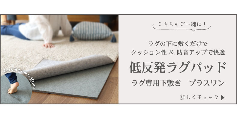 蓄熱ラグ フェリスの機能