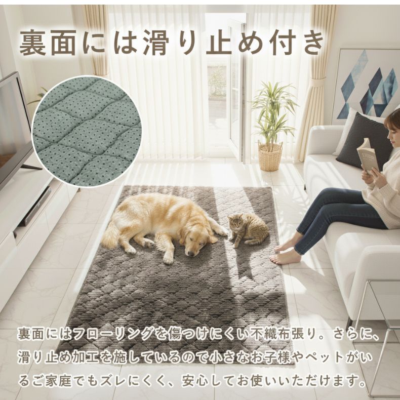 蓄熱ラグ フェリスの機能