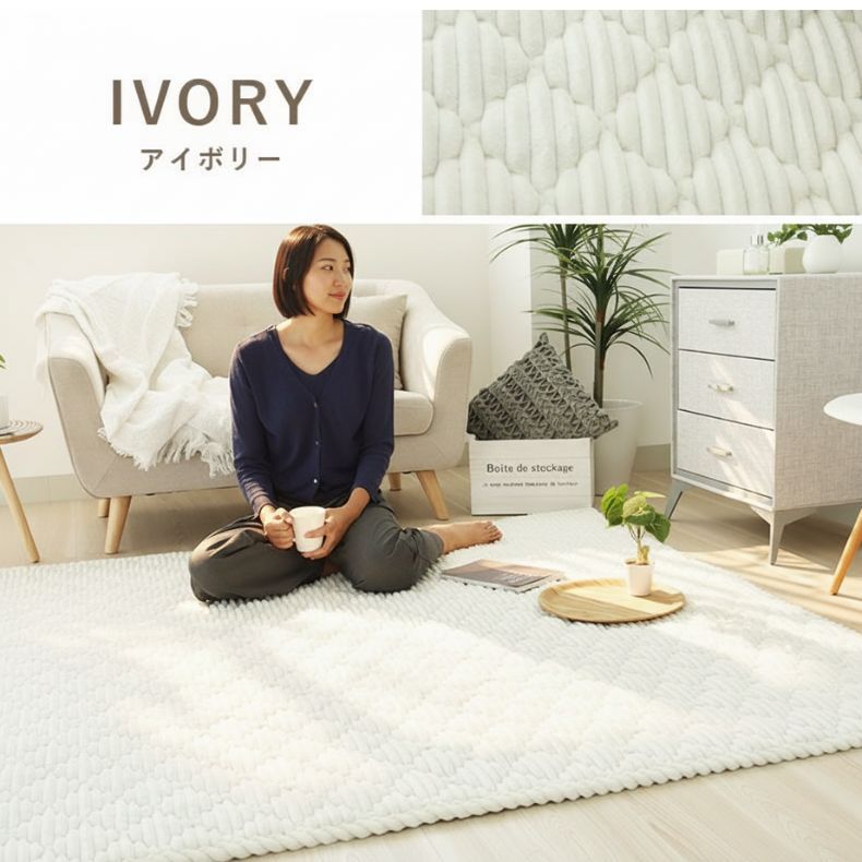 蓄熱ラグ フェリスのカラー