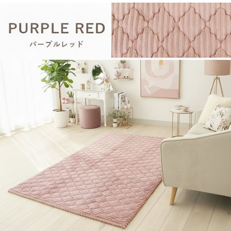 蓄熱ラグ フェリスのカラー