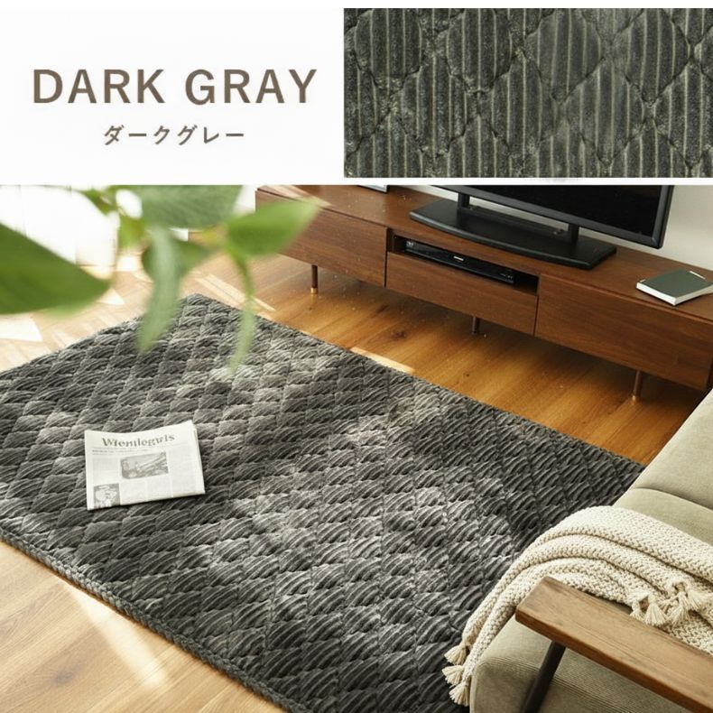 蓄熱ラグ フェリスのカラー