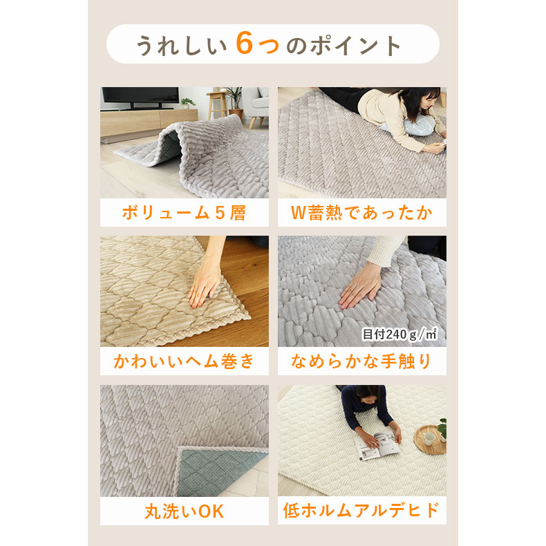 蓄熱ラグ フェリスの機能