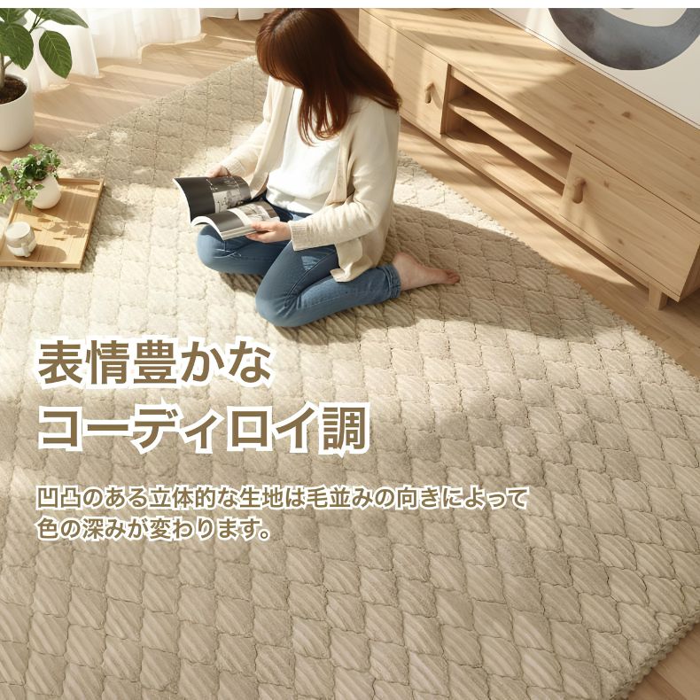 蓄熱ラグ フェリスの機能