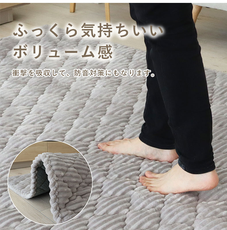 蓄熱ラグ フェリスの機能