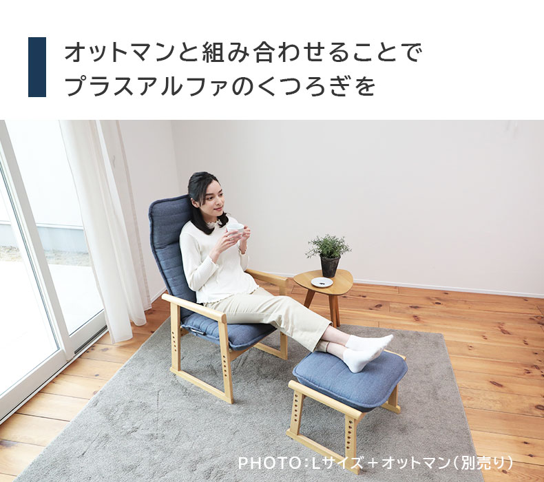 座椅子 座いす 坐椅子 坐いす ザイス Lサイズ セレクトチェア