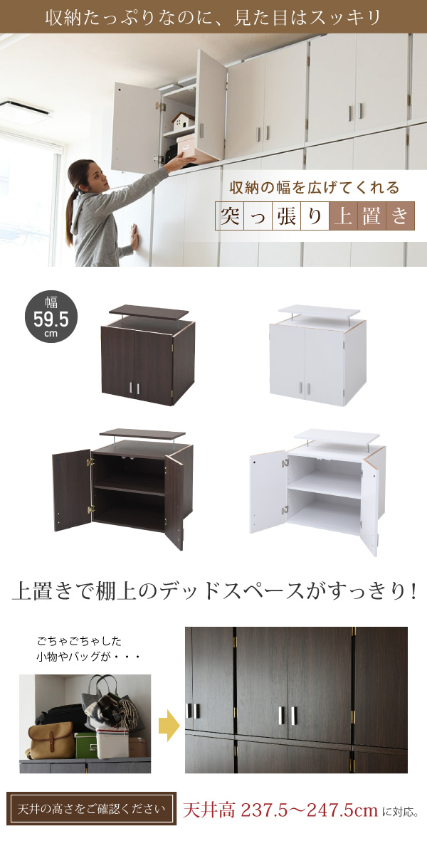 キャビネット ラック 扉 収納 チェスト 幅約60cm 買い足し用上置き FRM