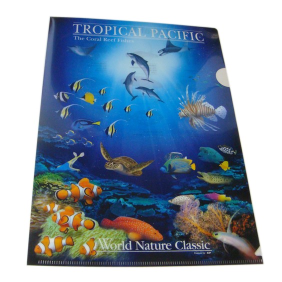 A4 クリアファイル 魚 グッズ World Nature Classic クリア