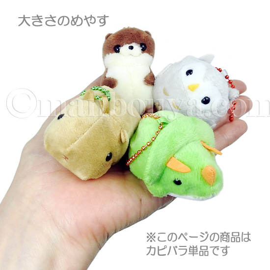 カピバラさん キュルっと広場 | 壁紙・スタンプが取り放題の
