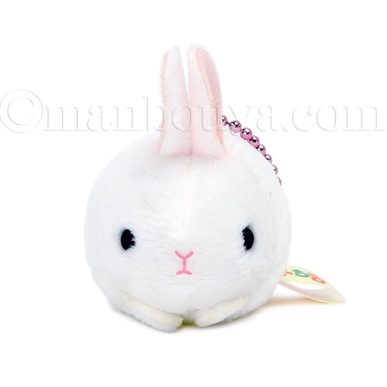 Amazon.co.jp: キッズ可愛い上履き ウサギ ykuwbkb813 26（約