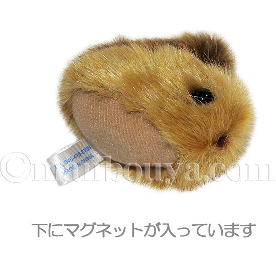 上品】 Kiyataさん リス マグネット 美術品・アンティーク