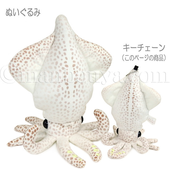 ホタルイカ ぬいぐるみ リアル かわいい 光る A-SHOW 栄商