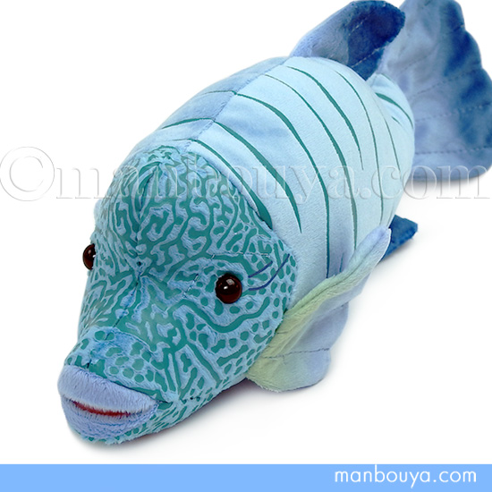 タケノコメバル　フィギュア　魚寸30cm タケノコメバル - WEB魚図鑑
