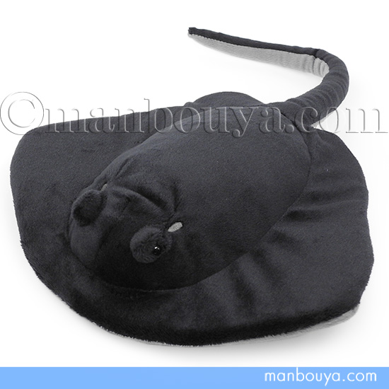 カラスエイ ぬいぐるみ エイ ブラック 水族館 お土産 わくわく図鑑 A