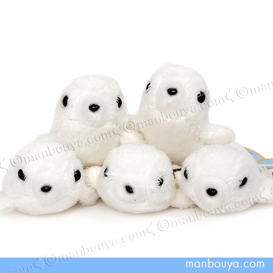 アザラシぬいぐるみ　水族館購入　昭和当時品 アザラシのぬいぐるみ】キュート販売◇CUTE marine collection